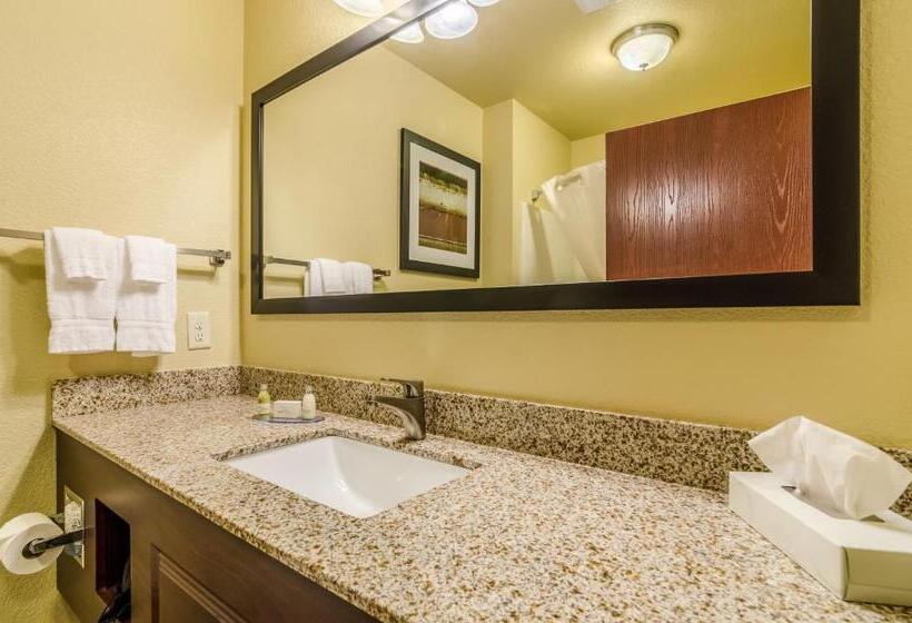 غرفة ديلوكس سرير كينج, Cobblestone Hotel & Suites   Mccook