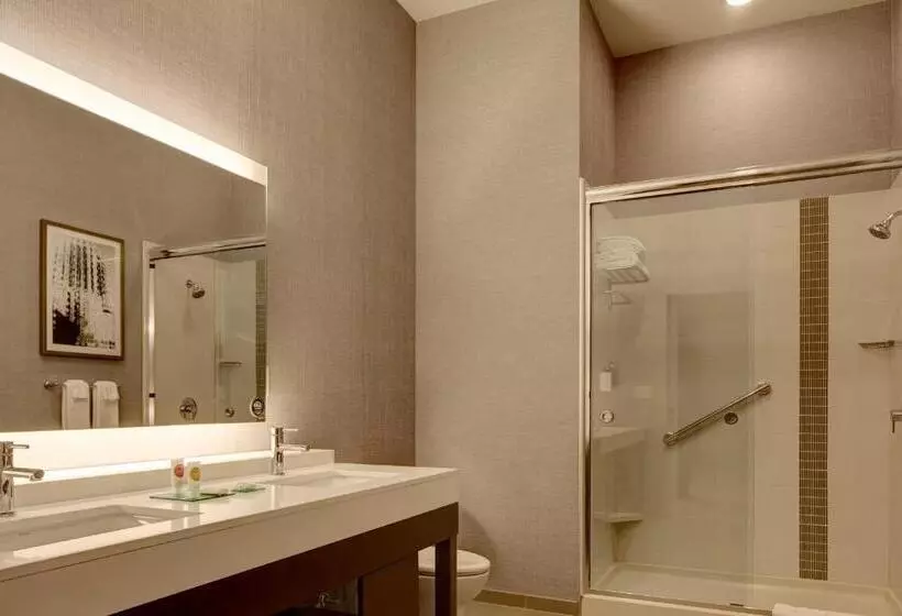 キングサイズベッドのスイートルーム, Hyatt Place St. Paul