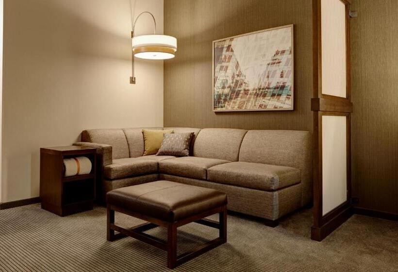 장애인을 위한 킹사이즈 침대 스탠다드 룸, Hyatt Place St. Paul