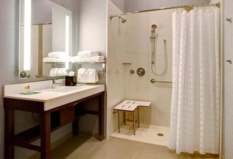 身障者適用キングサイズベッドルーム, Hyatt Place St. Paul