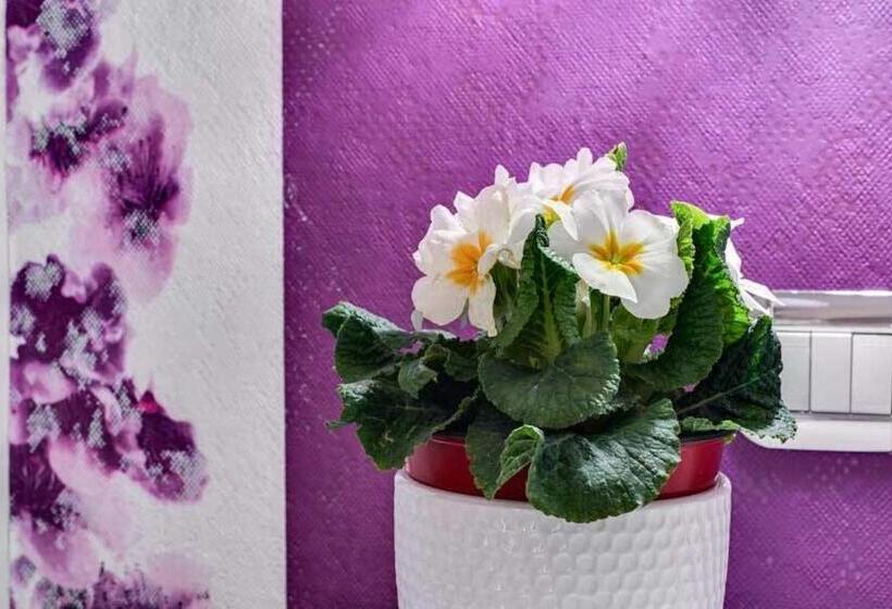 Номер Стандарт, Marco Polo B&b