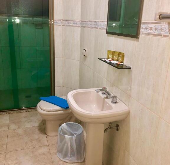 スーペリアシングルルーム, Alvorada Palace Hotel De Poços