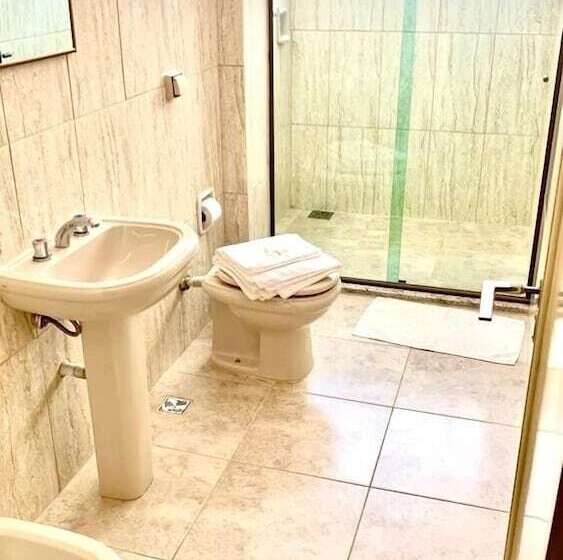 スーペリアールーム, Alvorada Palace Hotel De Poços