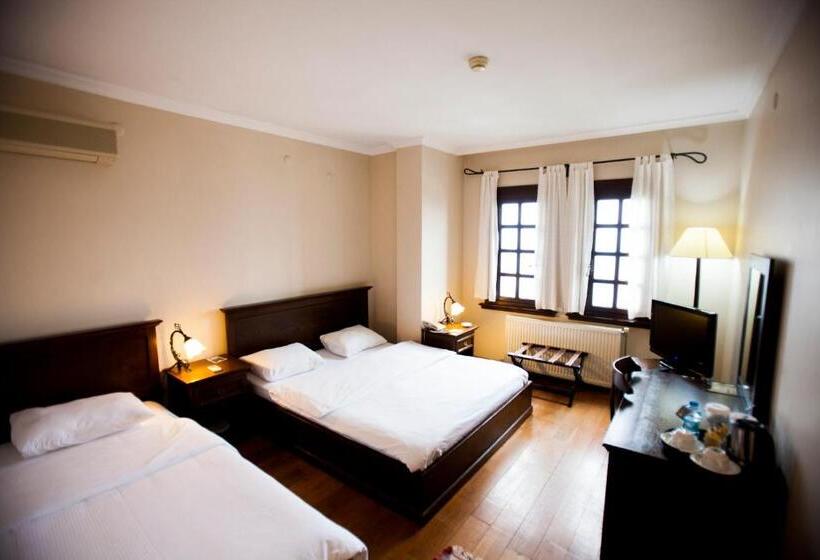 اتاق استاندارد با چشمانداز دریا, Zinos