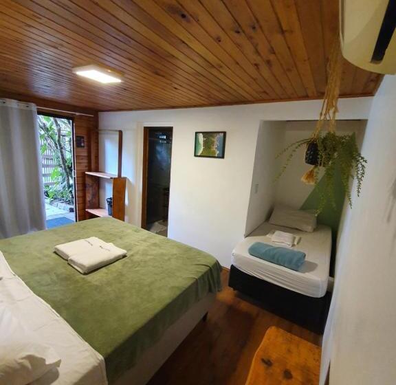 اتاق استاندارد سه تخته با چشمانداز باغ, The Search House