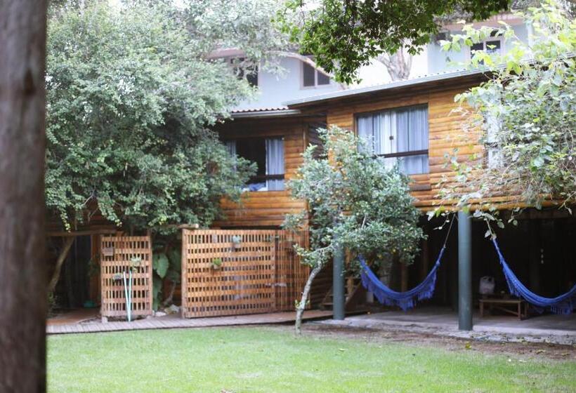 اتاق استاندارد چهارنفره با چشمانداز باغ, The Search House