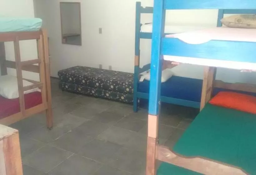 ルームシェアのワンベッド, Hostel Tabapiri