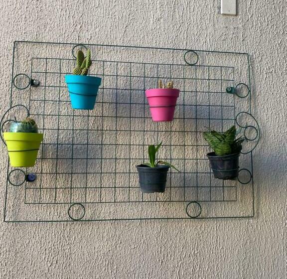 Standart Tek Kişilik Oda, Hostel Zampollo