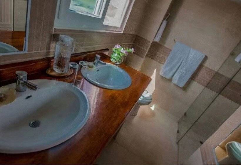 جناح جونيور, Iguana Crossing Boutique