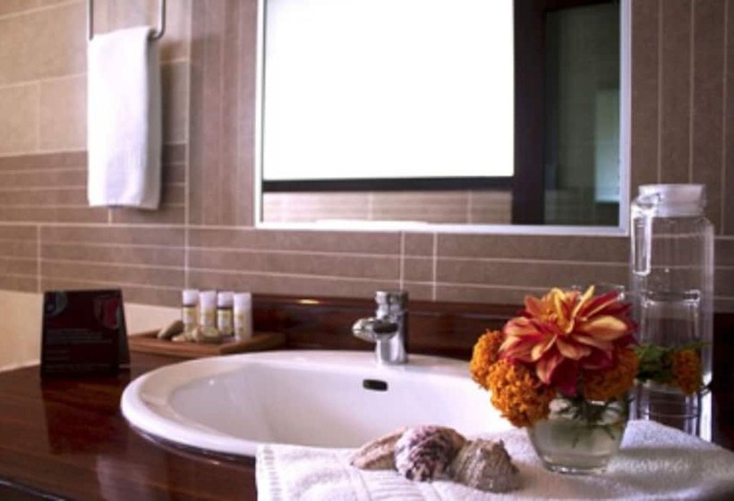 غرفة قياسية ثلاثية, Iguana Crossing Boutique