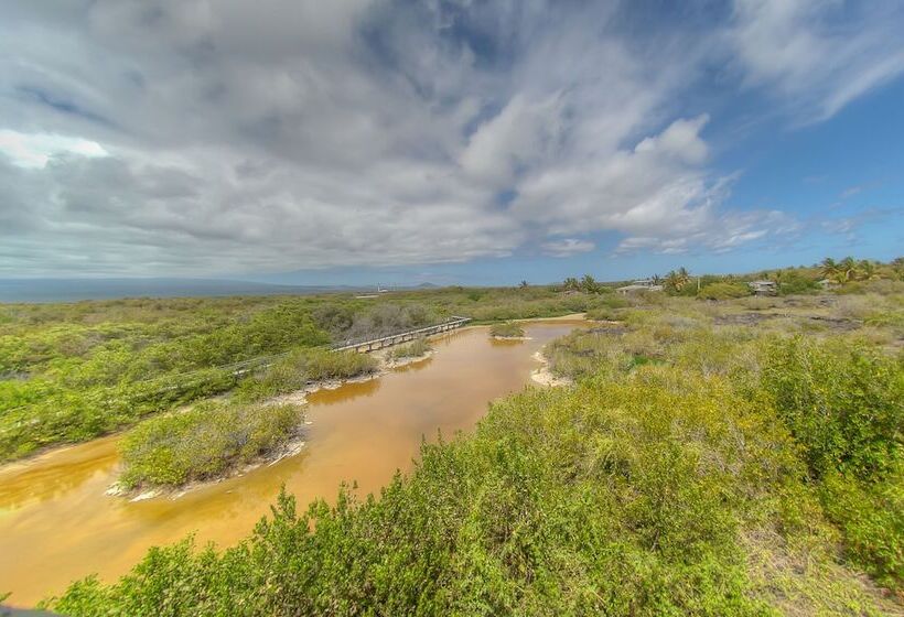 غرفة قياسية ثلاثية, Iguana Crossing Boutique