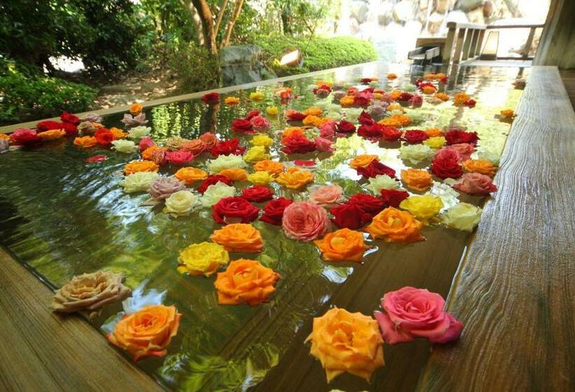 חדר סטנדרט, Misasa Onsen Misasakan