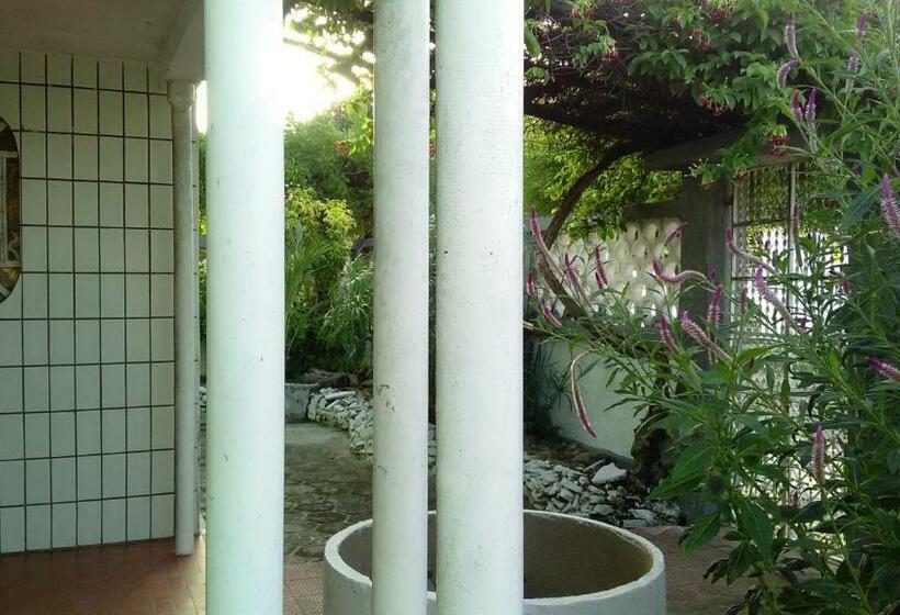 חדר סטנדרט, Praieiro Hostel Albergue