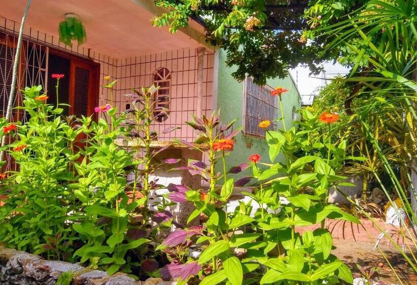 חדר משפחתי, Praieiro Hostel Albergue