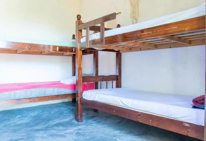تختخواب در اتاق مشترک, Sambaqui Hostel