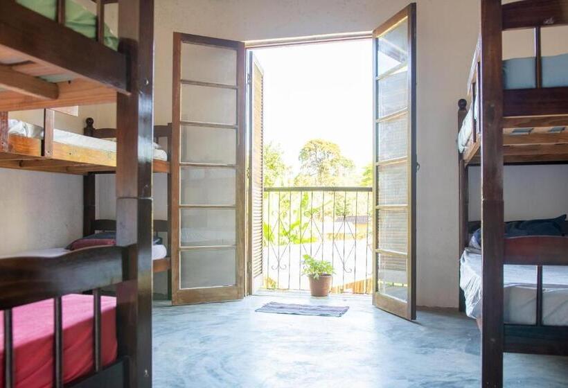 ルームシェアのワンベッド, Sambaqui Hostel