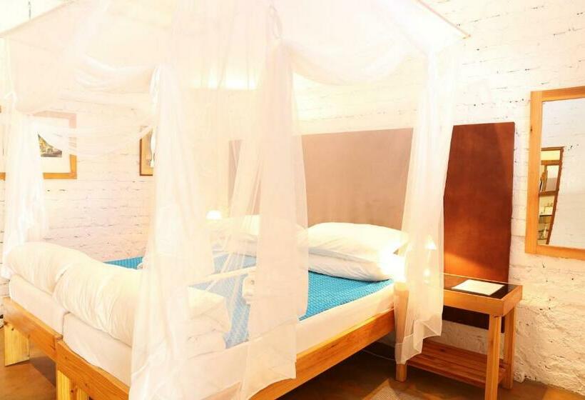 اتاق سوپریور, Evening Shade