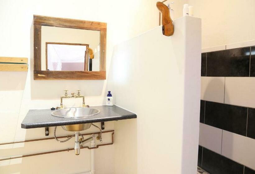 اتاق سوپریور, Evening Shade