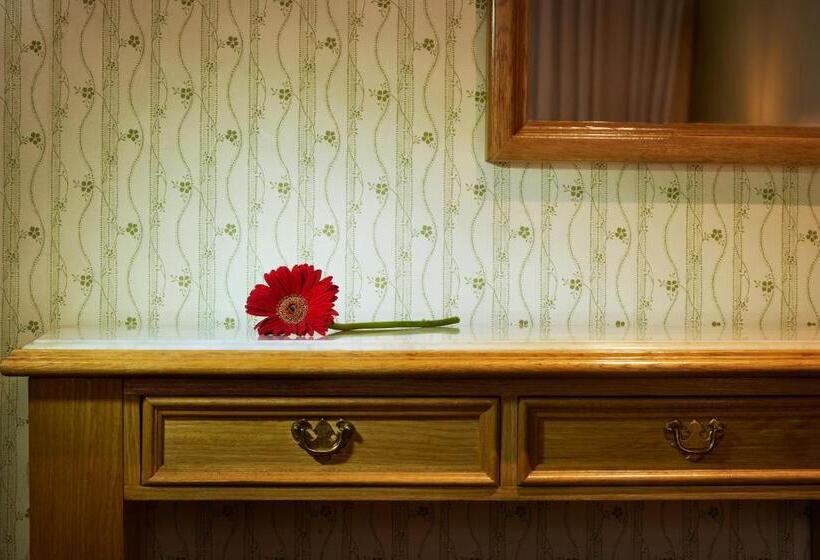 اتاق سوپریور سه تخته, Gran Hotel Ailen