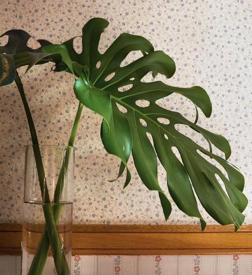 اتاق سوپریور چهار تخته, Gran Hotel Ailen