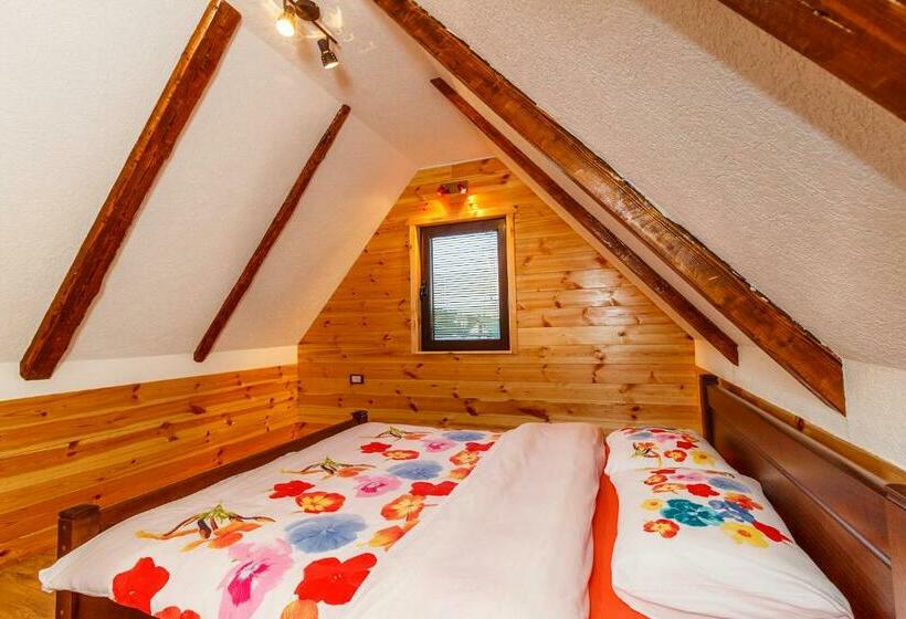 اتاق استاندارد با سرویس بهداشتی مشترک, Hostel Highlander