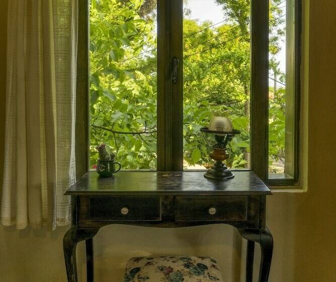 غرفة قياسية مزوَّدة بشُرفة, Elaia