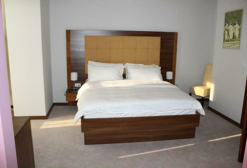 اتاق استاندارد یک نفره, Franca Hotel Pljevlja