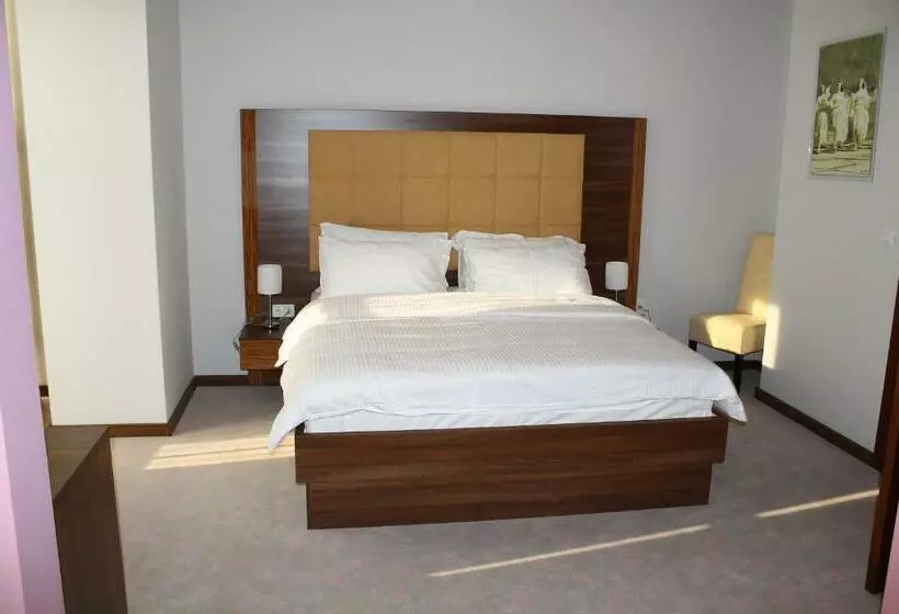 اتاق استاندارد یک نفره, Franca Hotel Pljevlja