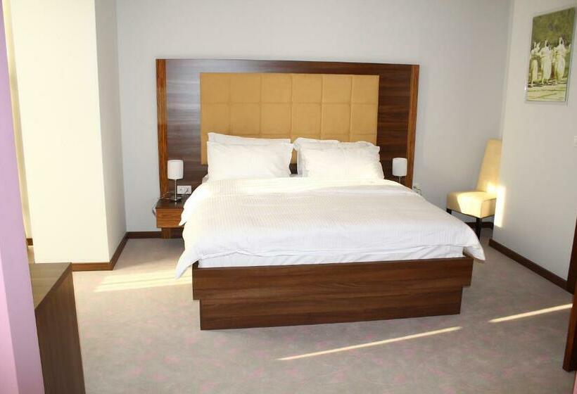 اتاق استاندارد یک نفره, Franca Hotel Pljevlja