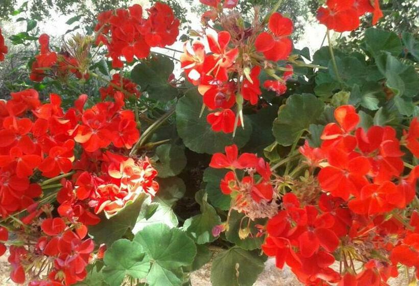 Standard-huone Merinäkymä Parveke, Marsala