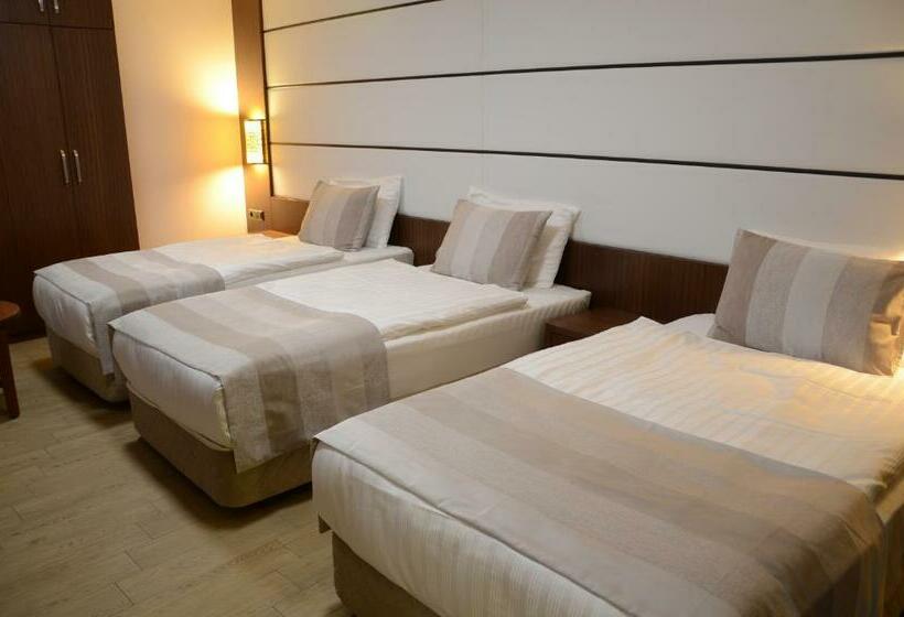 חדר סטנדרט לשלושה, Safa Royal Museum