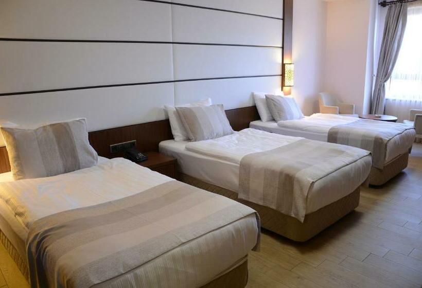 חדר סטנדרט לשלושה, Safa Royal Museum