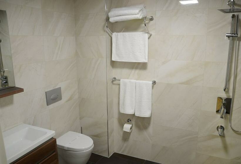 חדר סטנדרט יחיד, Safa Royal Museum