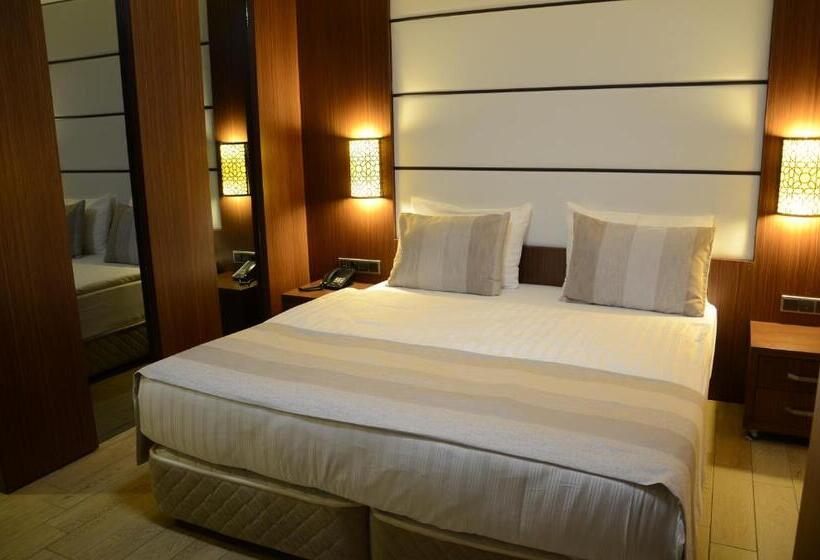 חדר סטנדרט יחיד, Safa Royal Museum