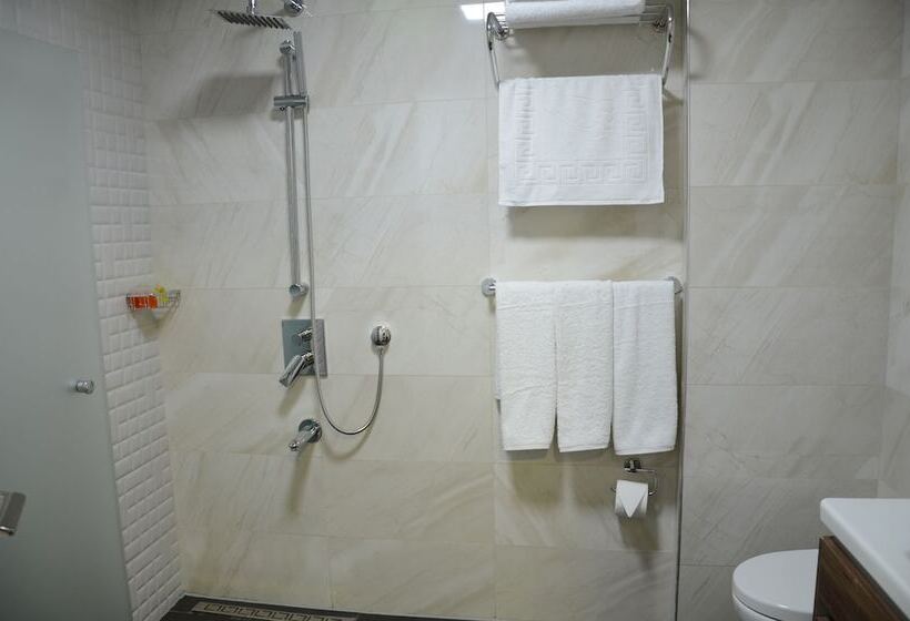 חדר סטנדרט, Safa Royal Museum