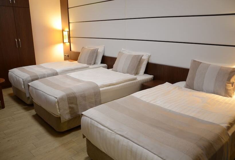 חדר סטנדרט לשלושה, Safa Royal Museum