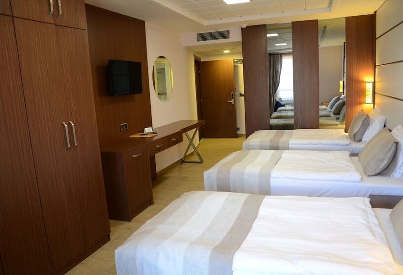 חדר סטנדרט לשלושה, Safa Royal Museum