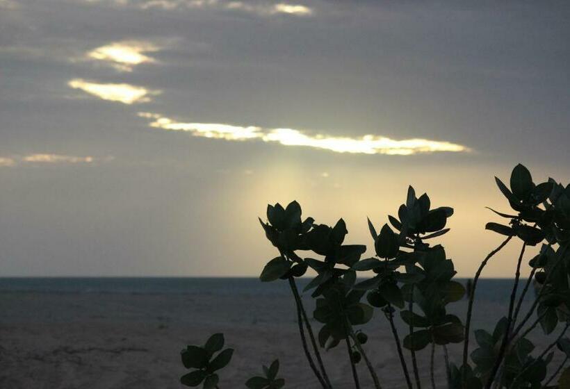 Номер Стандарт Вид на Сад, Siri Paraiso