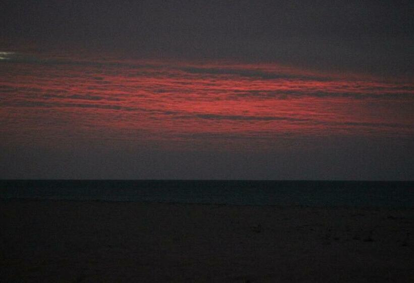 Номер Стандарт Вид на Сад, Siri Paraiso