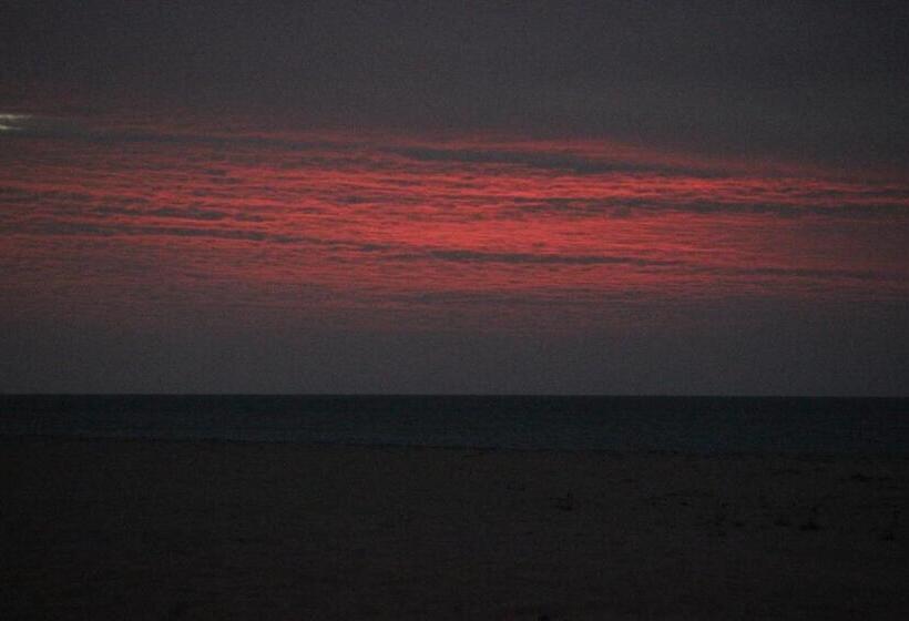 اتاق لوکس خانوادگی, Siri Paraiso