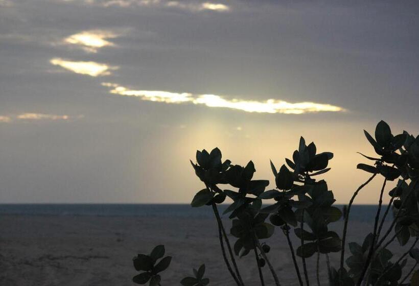 Семейный Номер Deluxe, Siri Paraiso