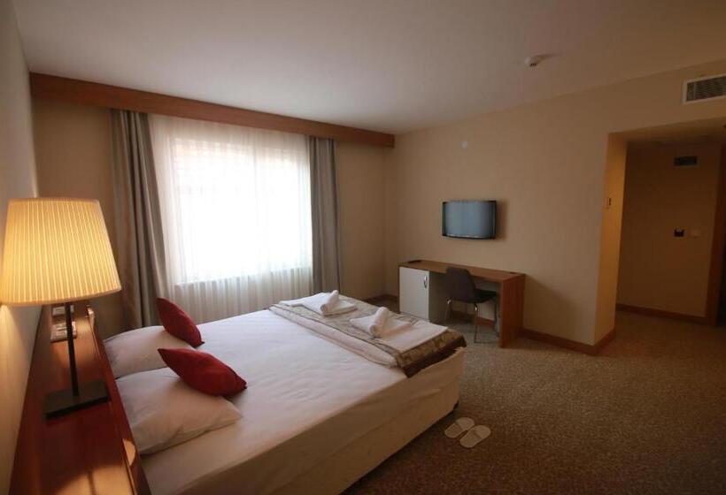 带阳台套房, Trakya City