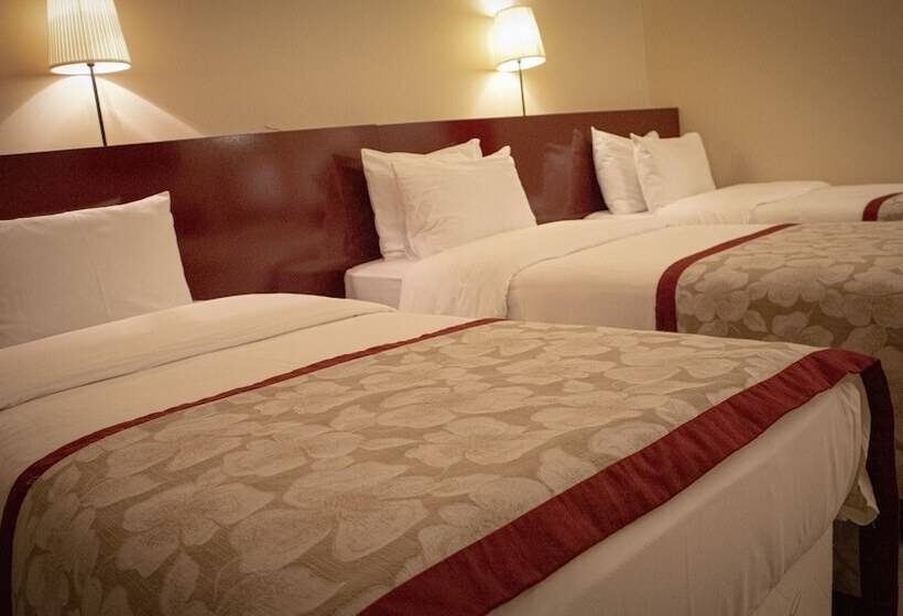 家庭间, Trakya City