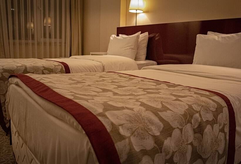 豪华房间, Trakya City