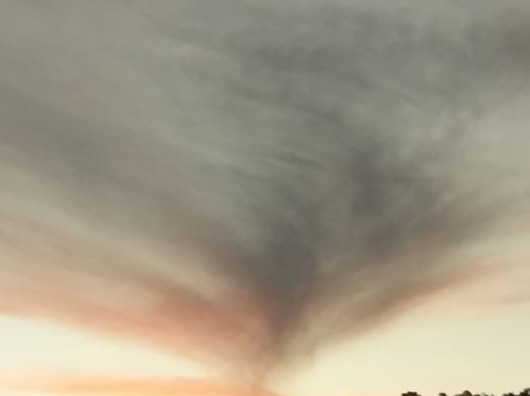 غرفة قياسية, Canastra Season