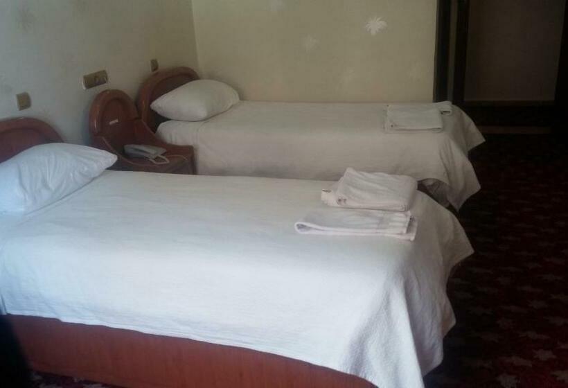 Номер Стандарт, Birkent