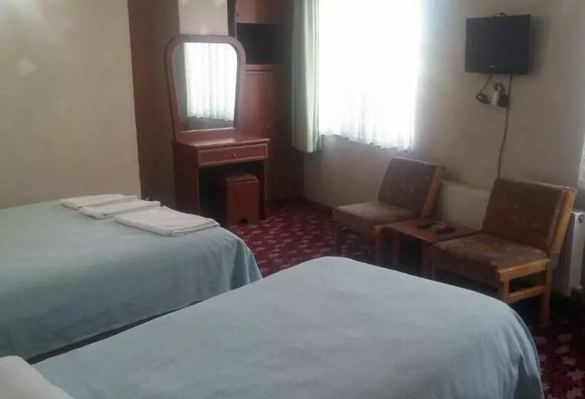 اتاق استاندارد, Birkent