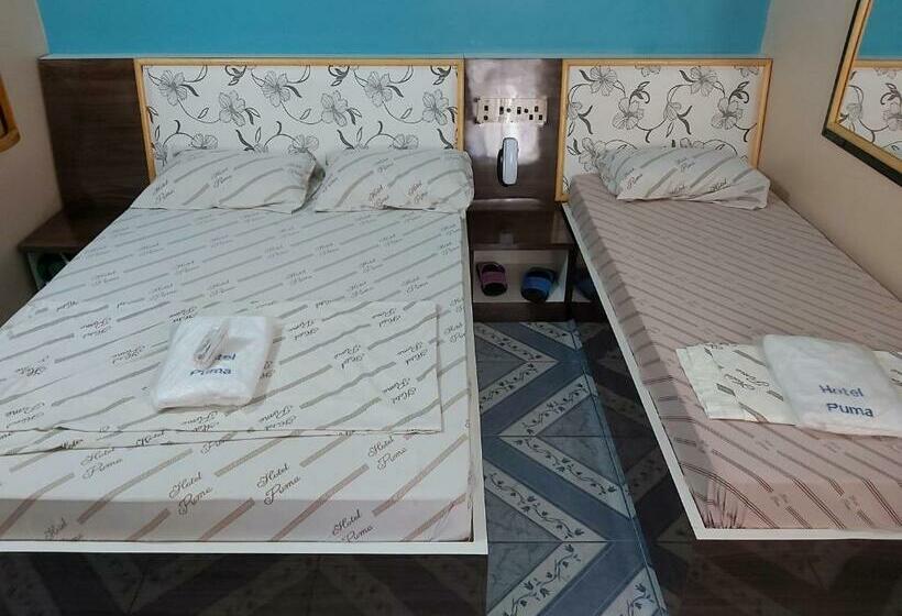 Номер Стандарт, Puma