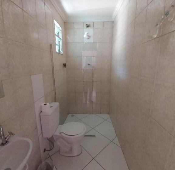 Номер Стандарт, Puma