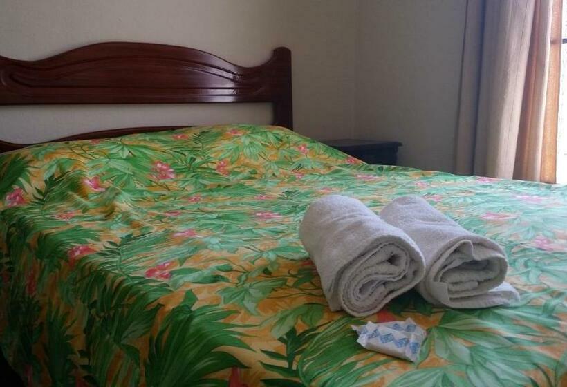 Номер Стандарт Индивидуальный, Madrid